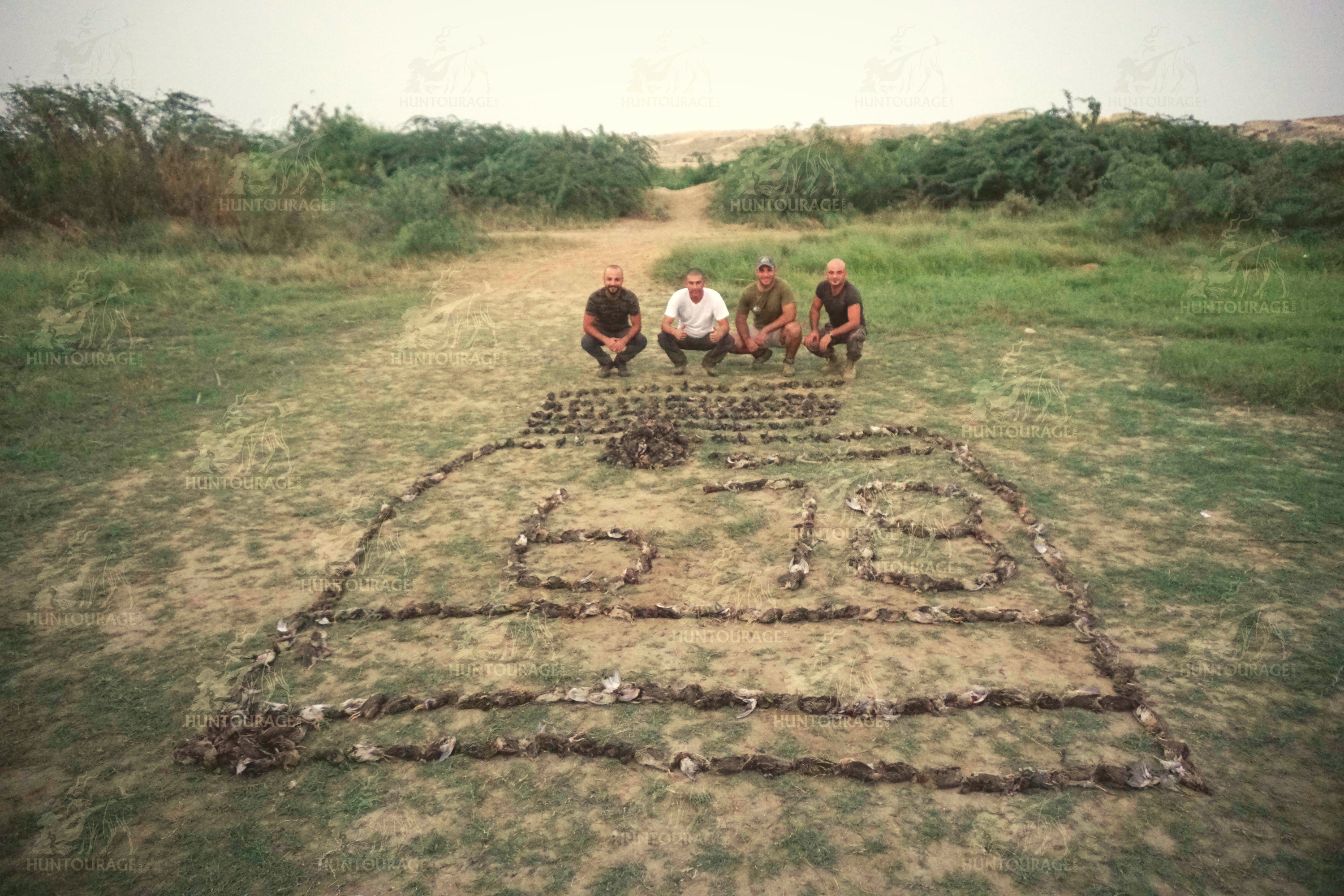 Pakistan High Volume Quail Hunting 